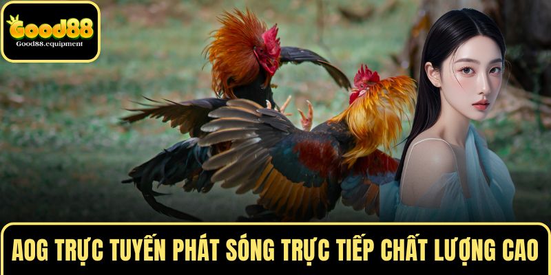 AOG trực tuyến phát sóng trực tiếp chất lượng cao