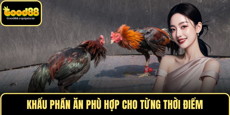 Khẩu phần ăn phù hợp cho từng thời điểm