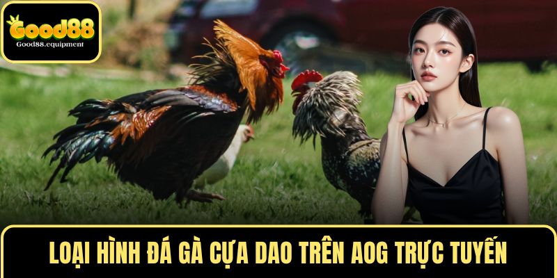Loại hình đá gà cựa dao trên AOG trực tuyến