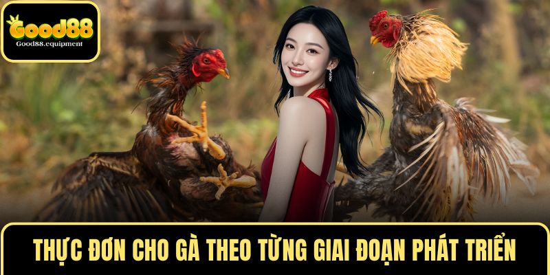 Thực đơn cho gà theo từng giai đoạn phát triển
